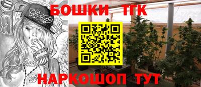 индика Новокубанск