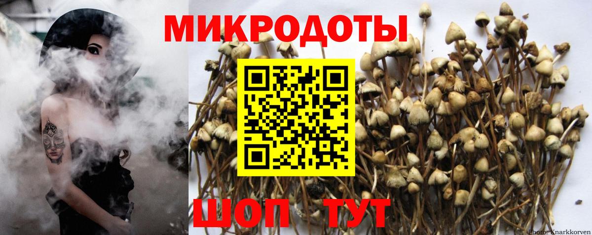 Трёхгорный  Галлюциногенные грибы GOLDEN TEACHER  Вход с VPN  Псилоцибиновые грибы ЛСД 
