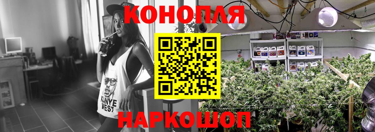 Каннабис марихуана Трёхгорный